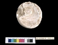 藏品(螺蓋製貝刮器)的圖片